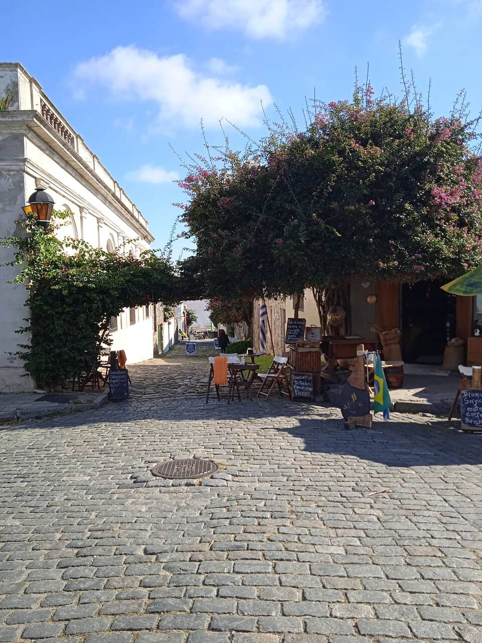 Scenic Waterfront Views