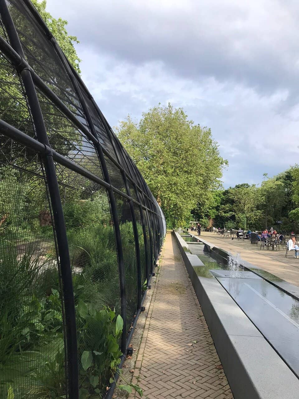 Peaceful Urban Oasis