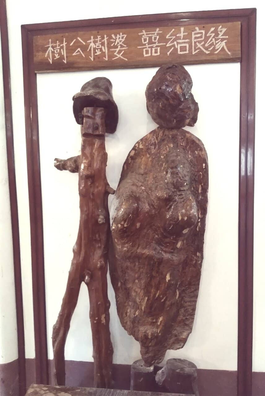 Scenic Jungle Setting