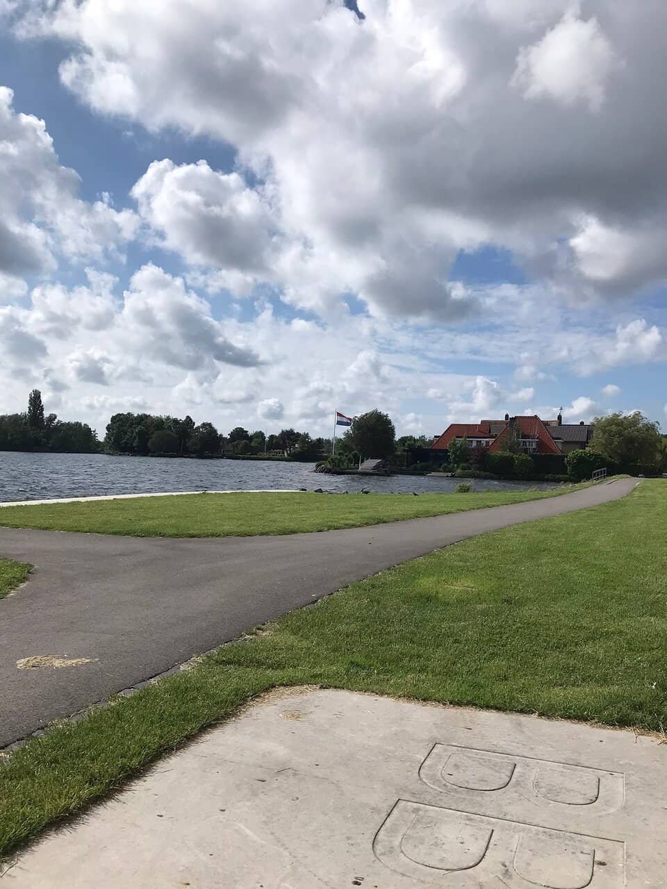 Surfing and Swimming