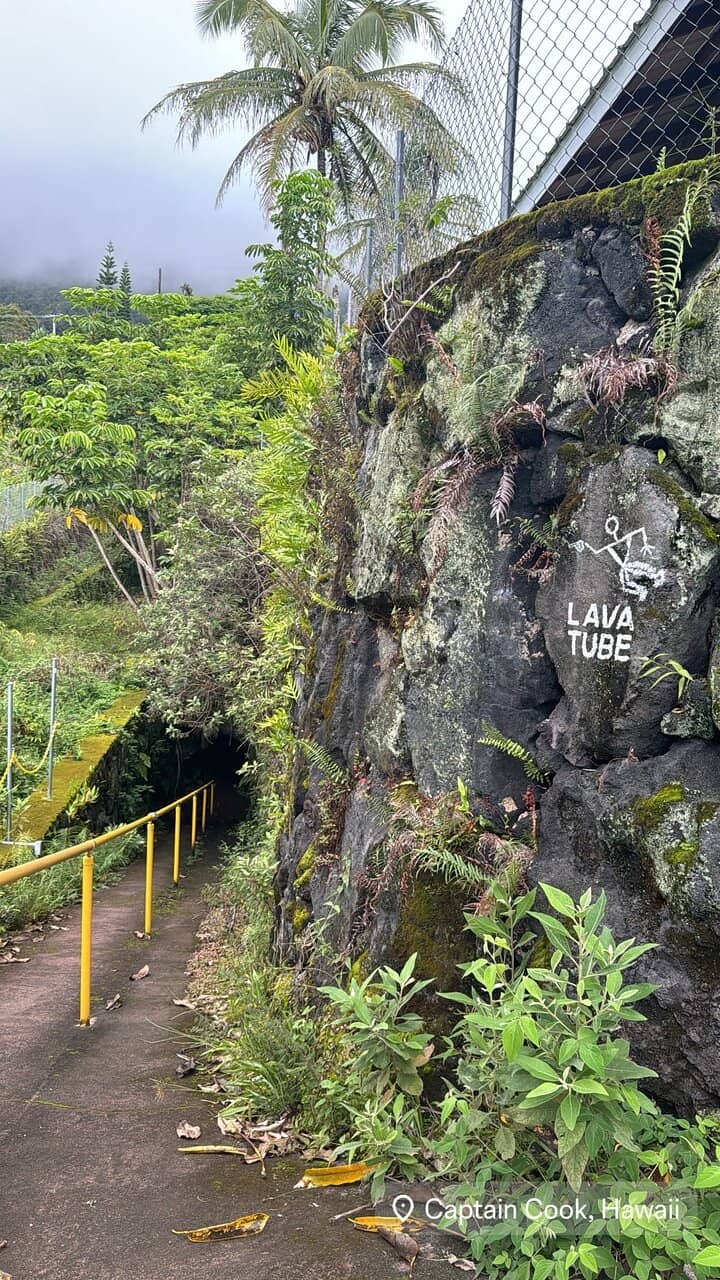 Coffee Processing Mill