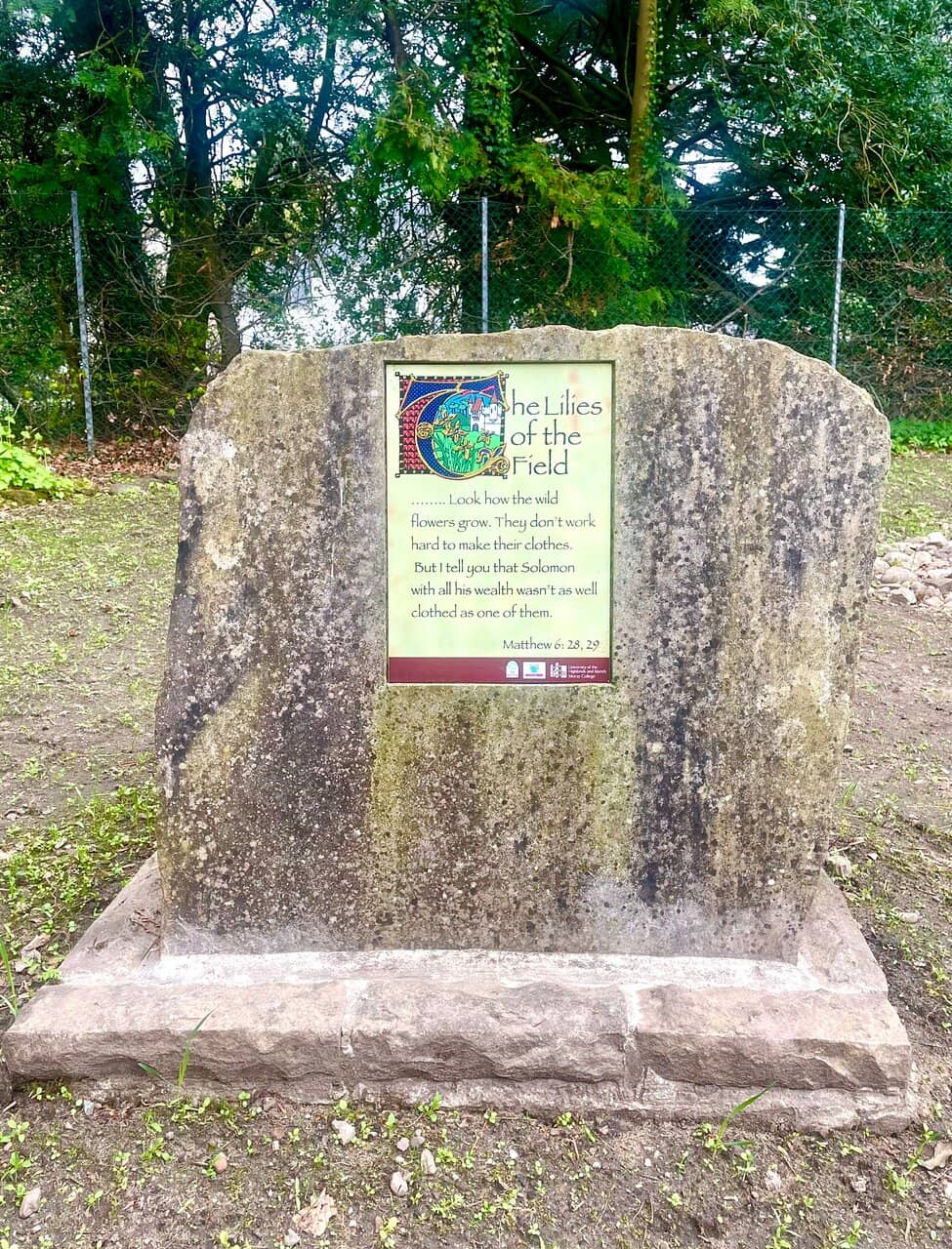 Artistic Inspiration