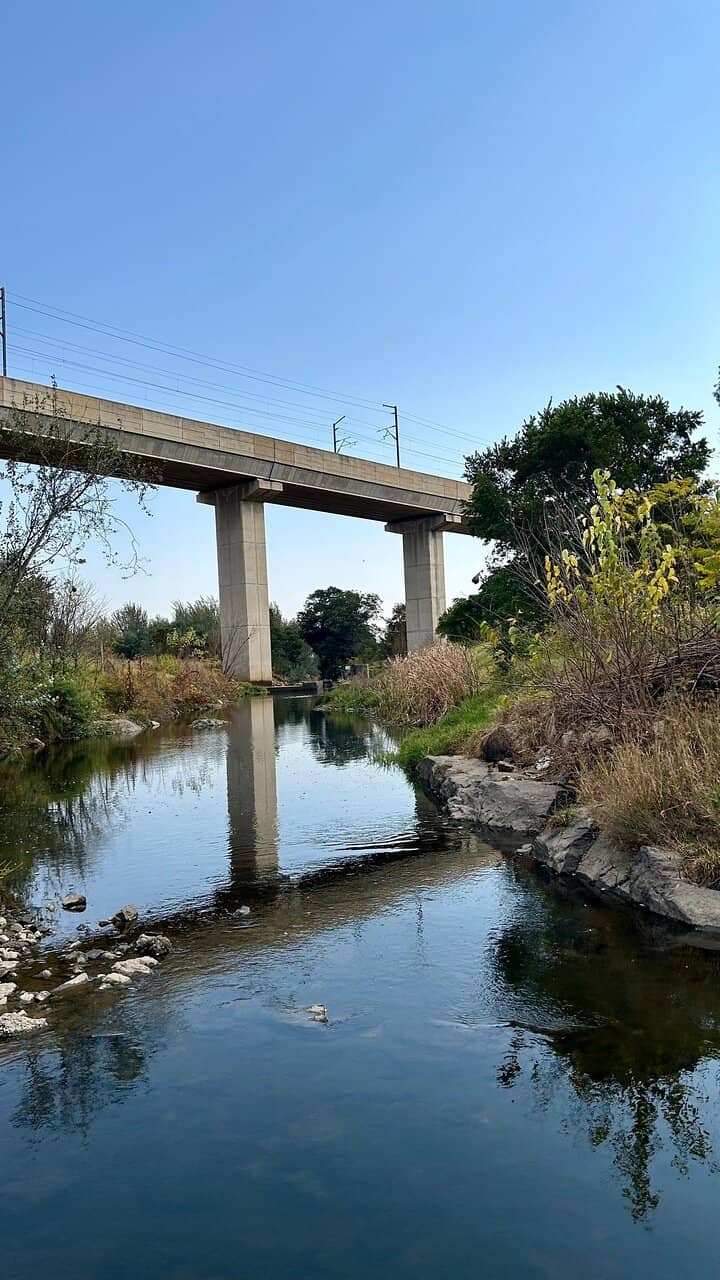 Artisanal Goods & Shopping