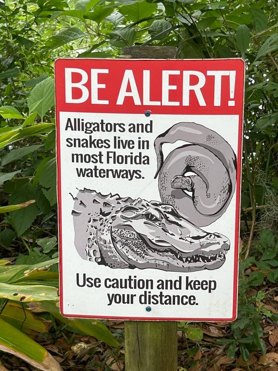 Dazzling Nights Holiday Event