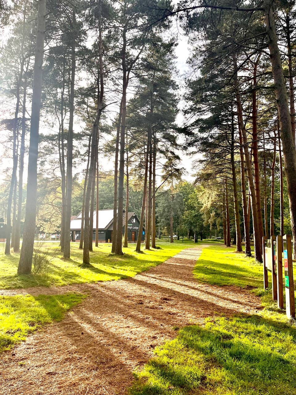 Pedal & Play Bike Track