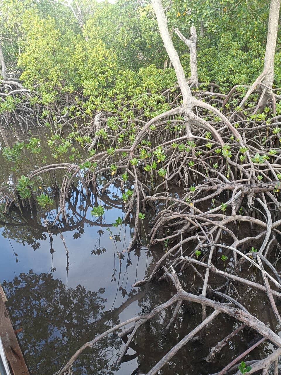 River Crossing Viewpoint
