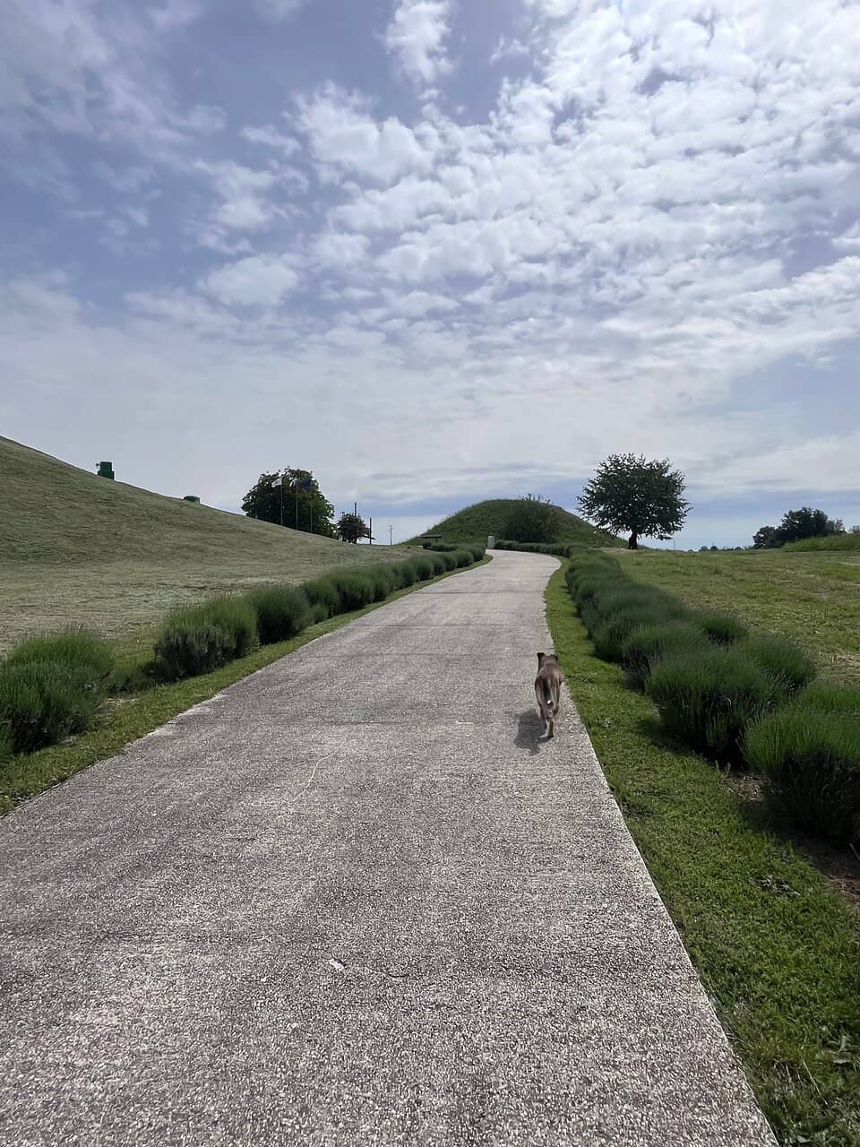 Thracian Cult Temple