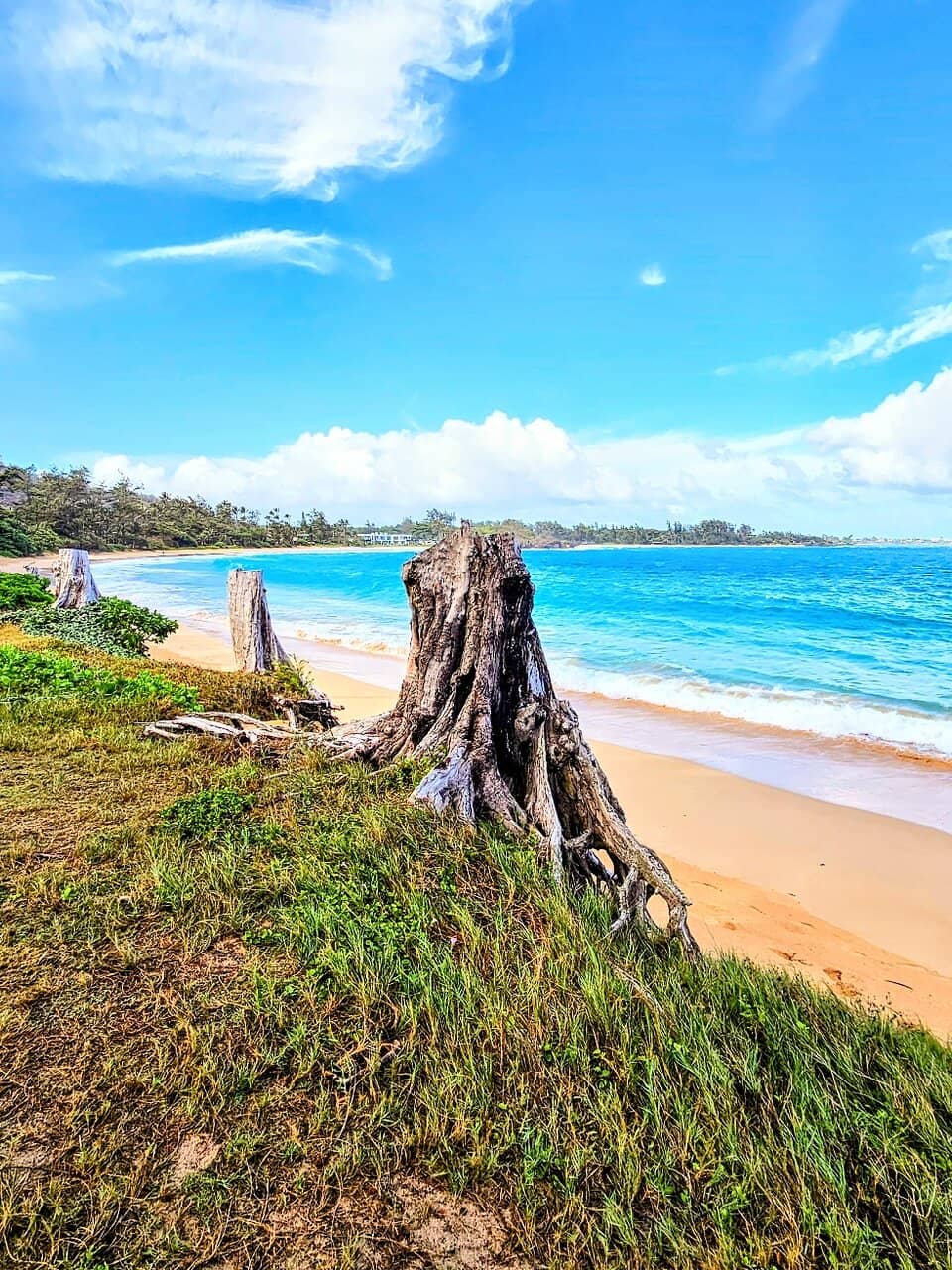 Shaded Picnic & Camping Areas