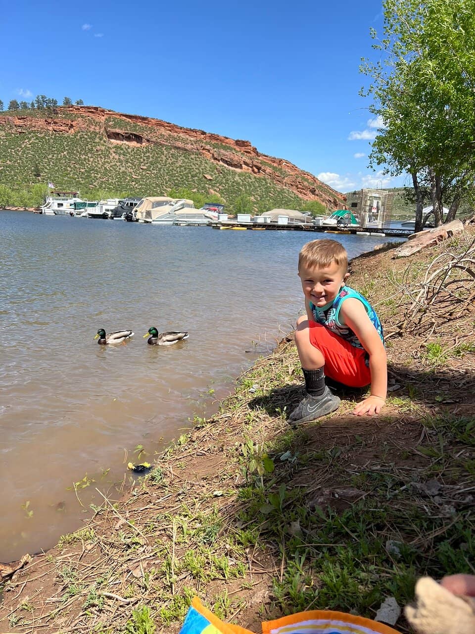 Horsetooth Rock Trail