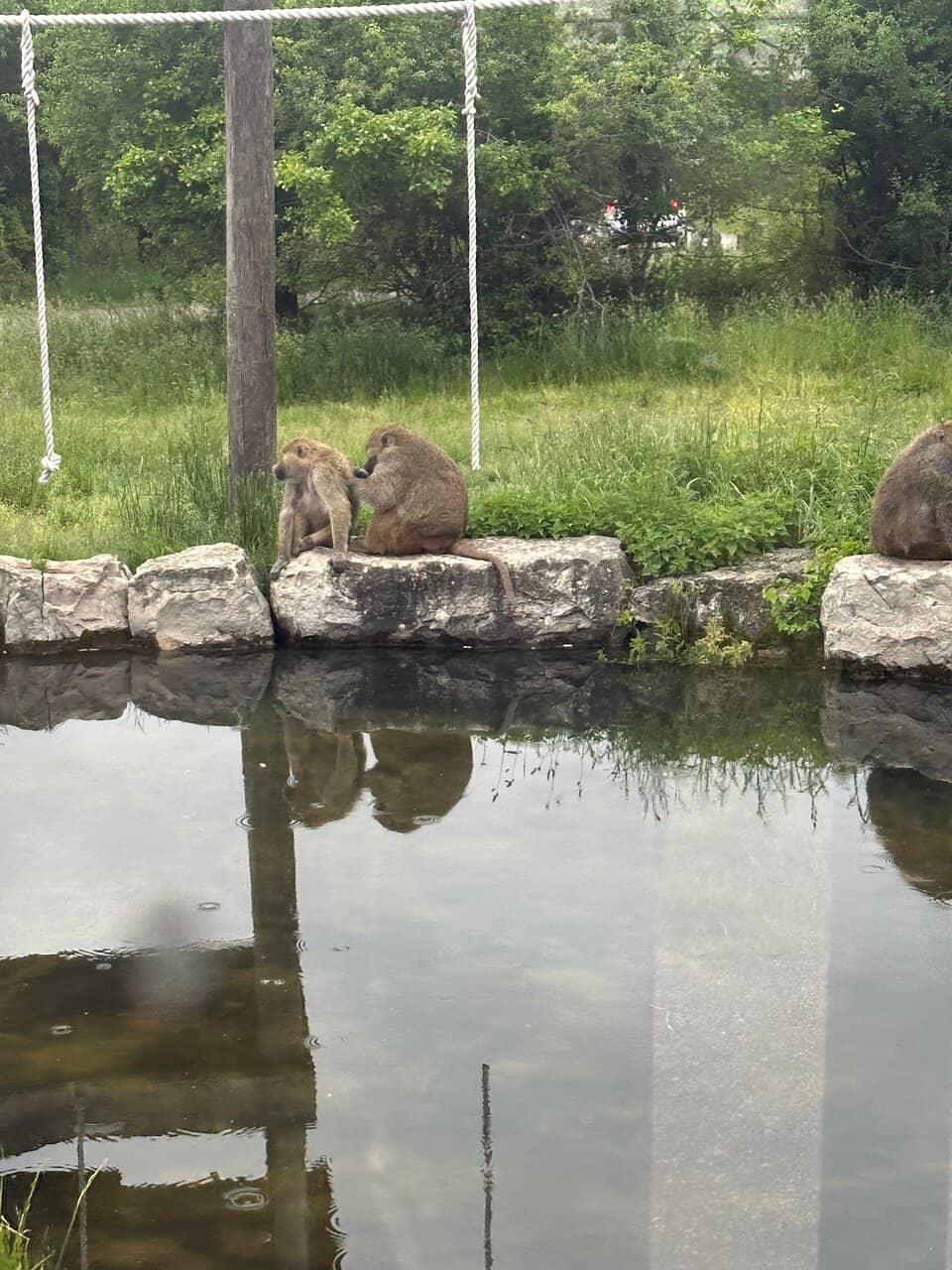 Splash Park & Play Areas