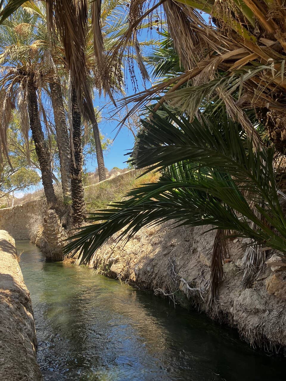 The Historic Arch Dam