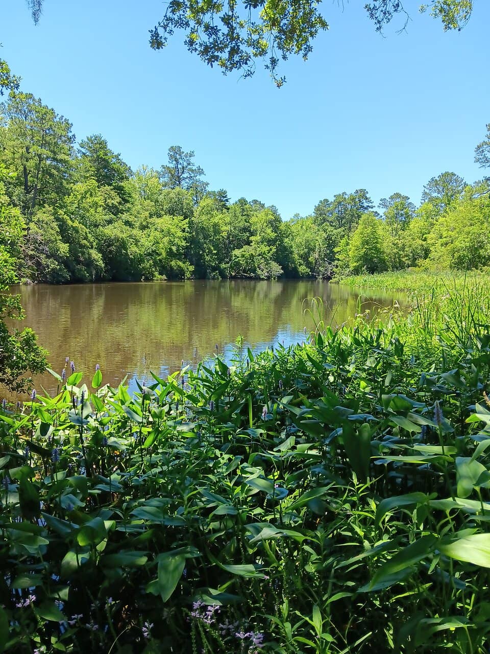 Anglican Church Bell Tower
