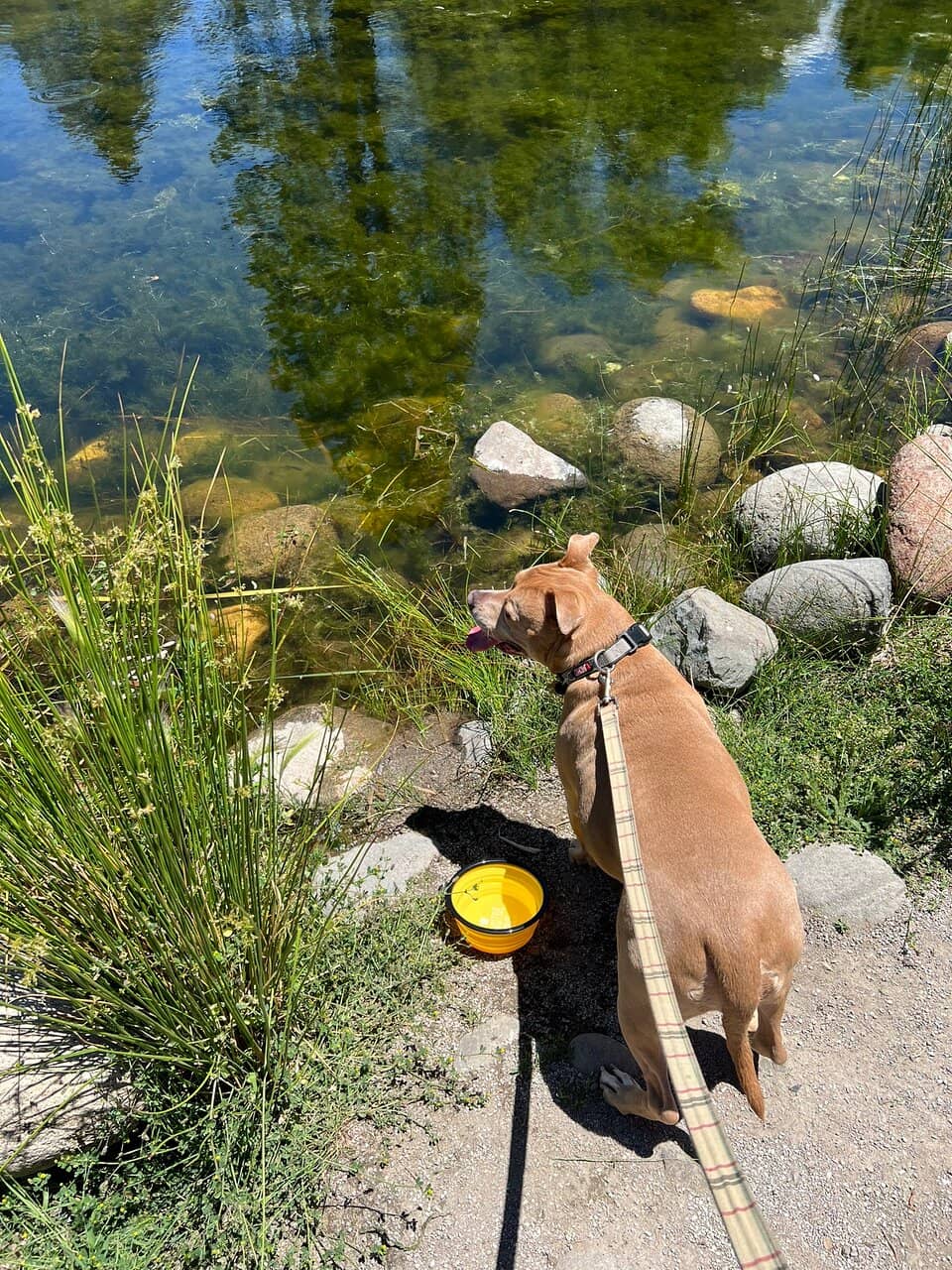 Truckee River Trails