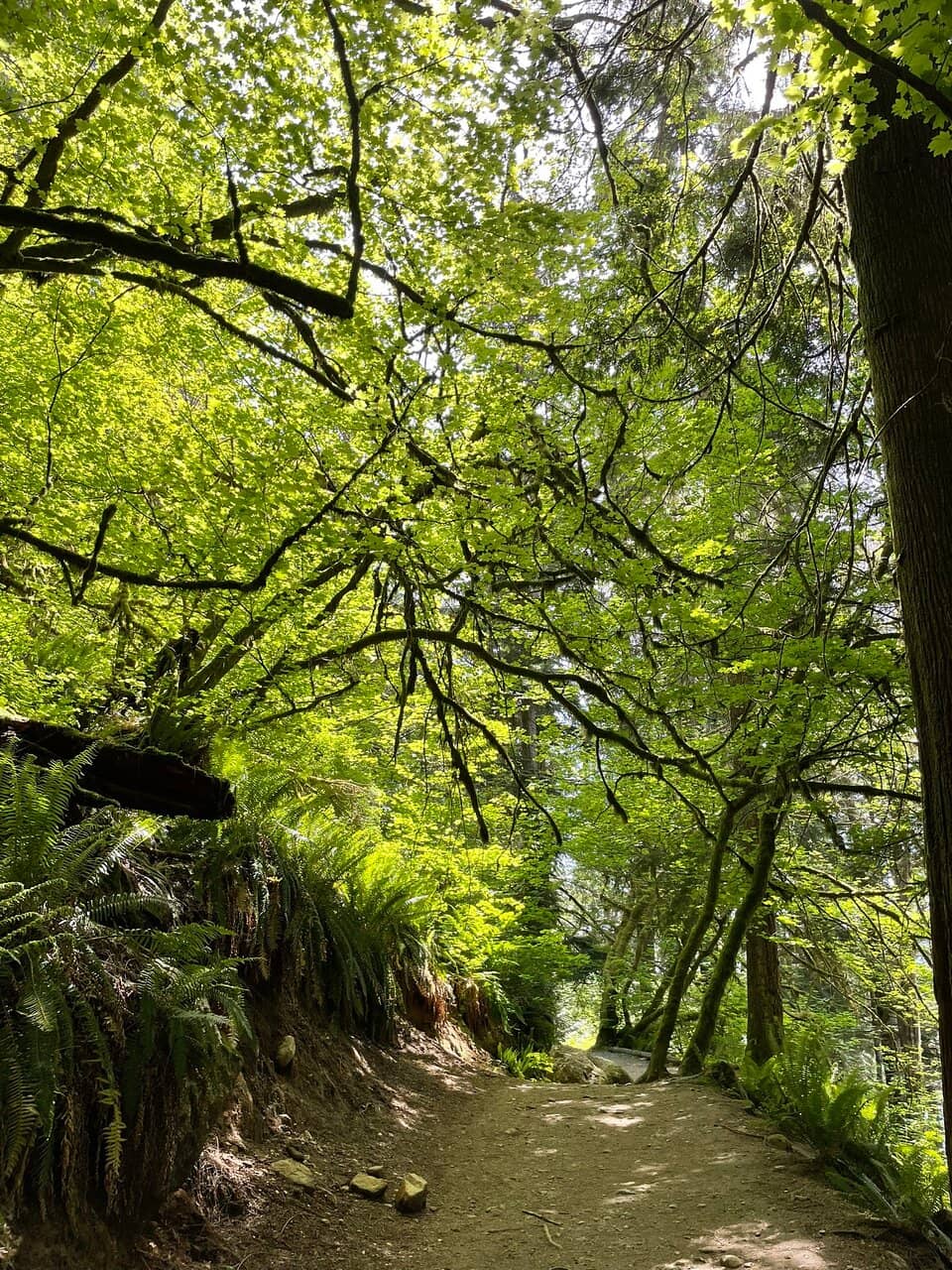 Picnic and Paddleboarding