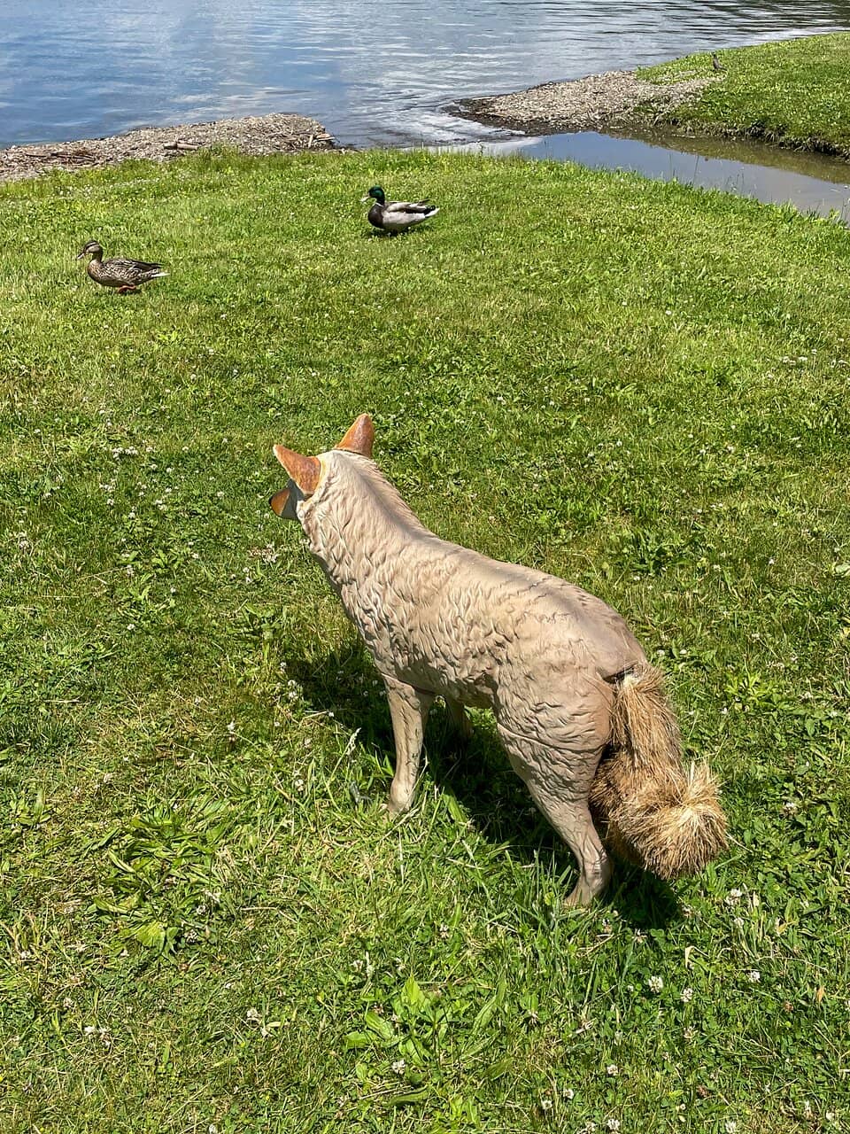 Glenn Curtiss Seaplane Sculpture