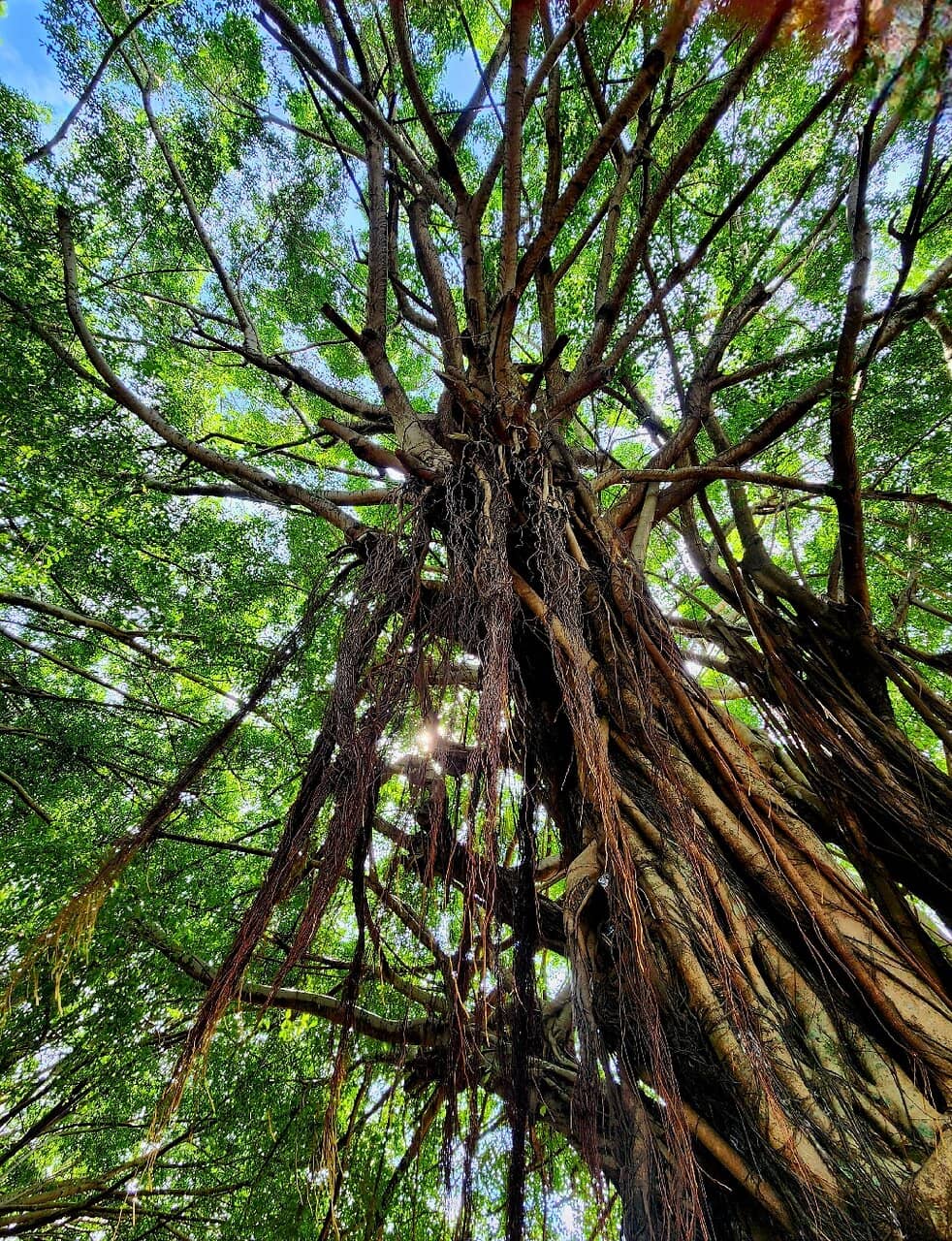 Carved Wooden Crafts