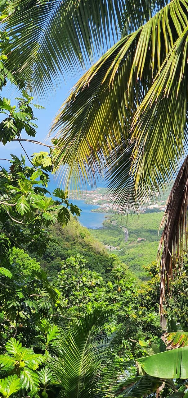 Botanical Discoveries