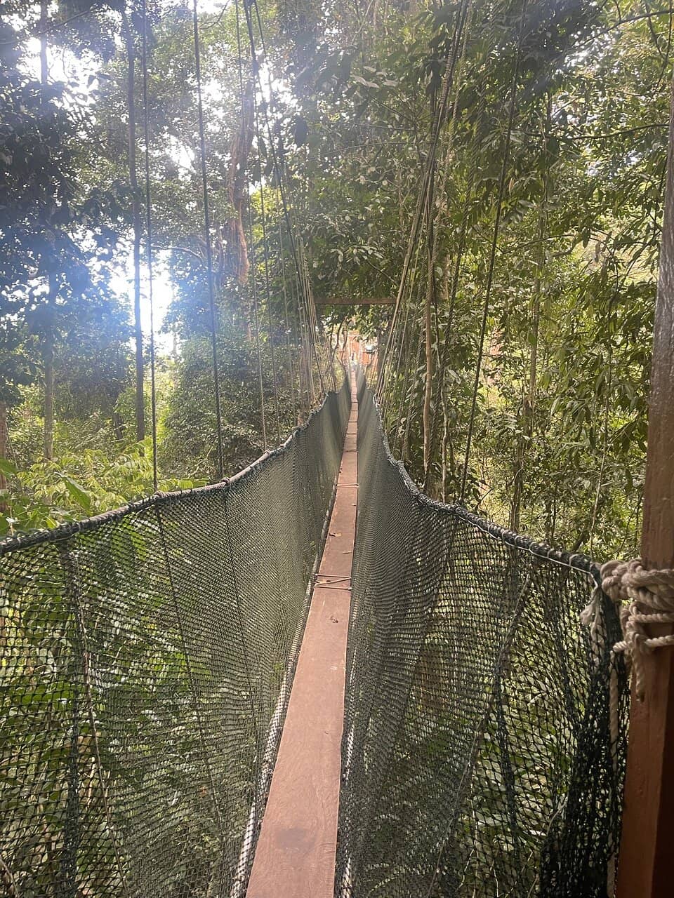 Langanan Waterfall Trek