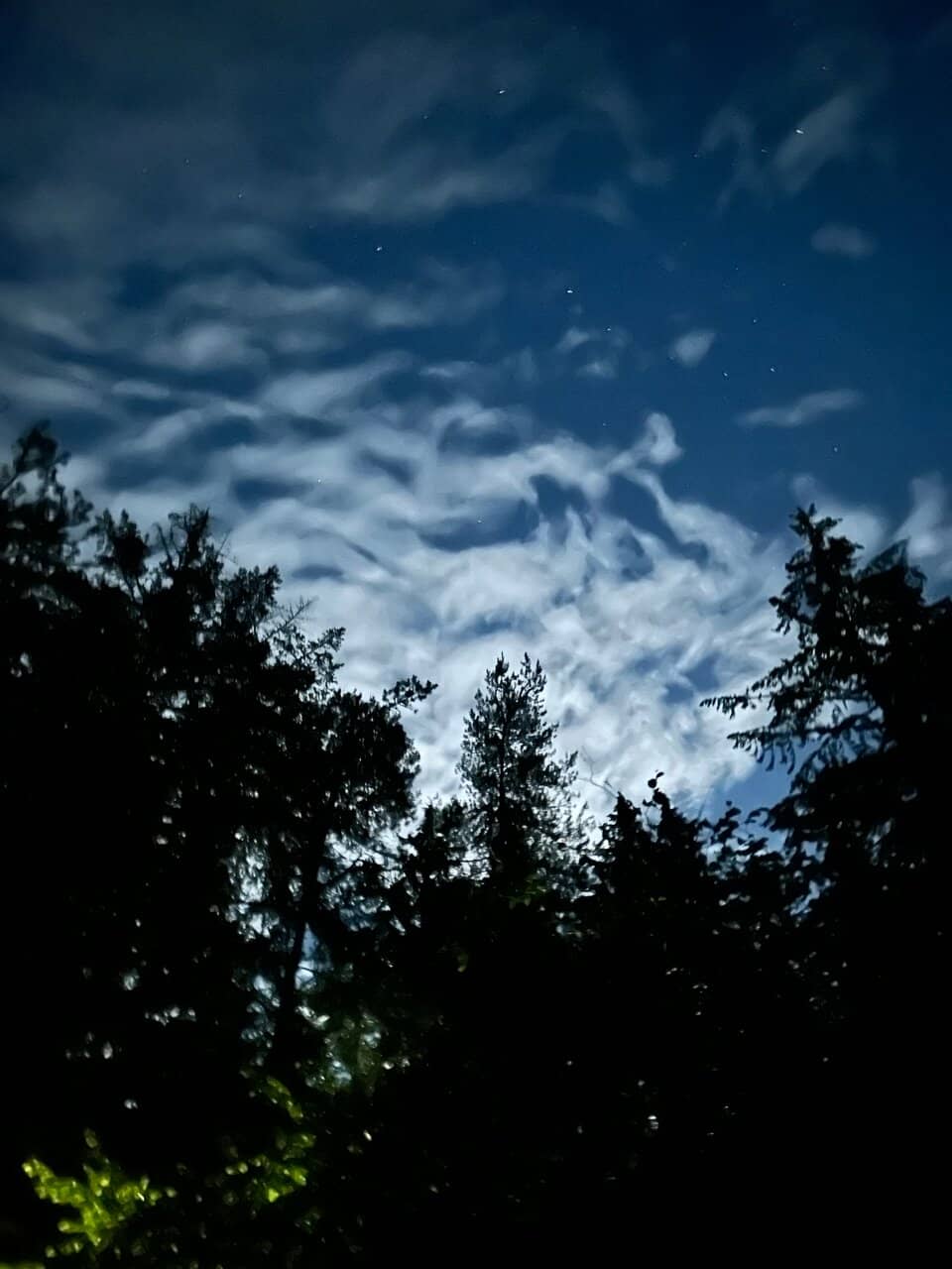 Extensive Trail Network