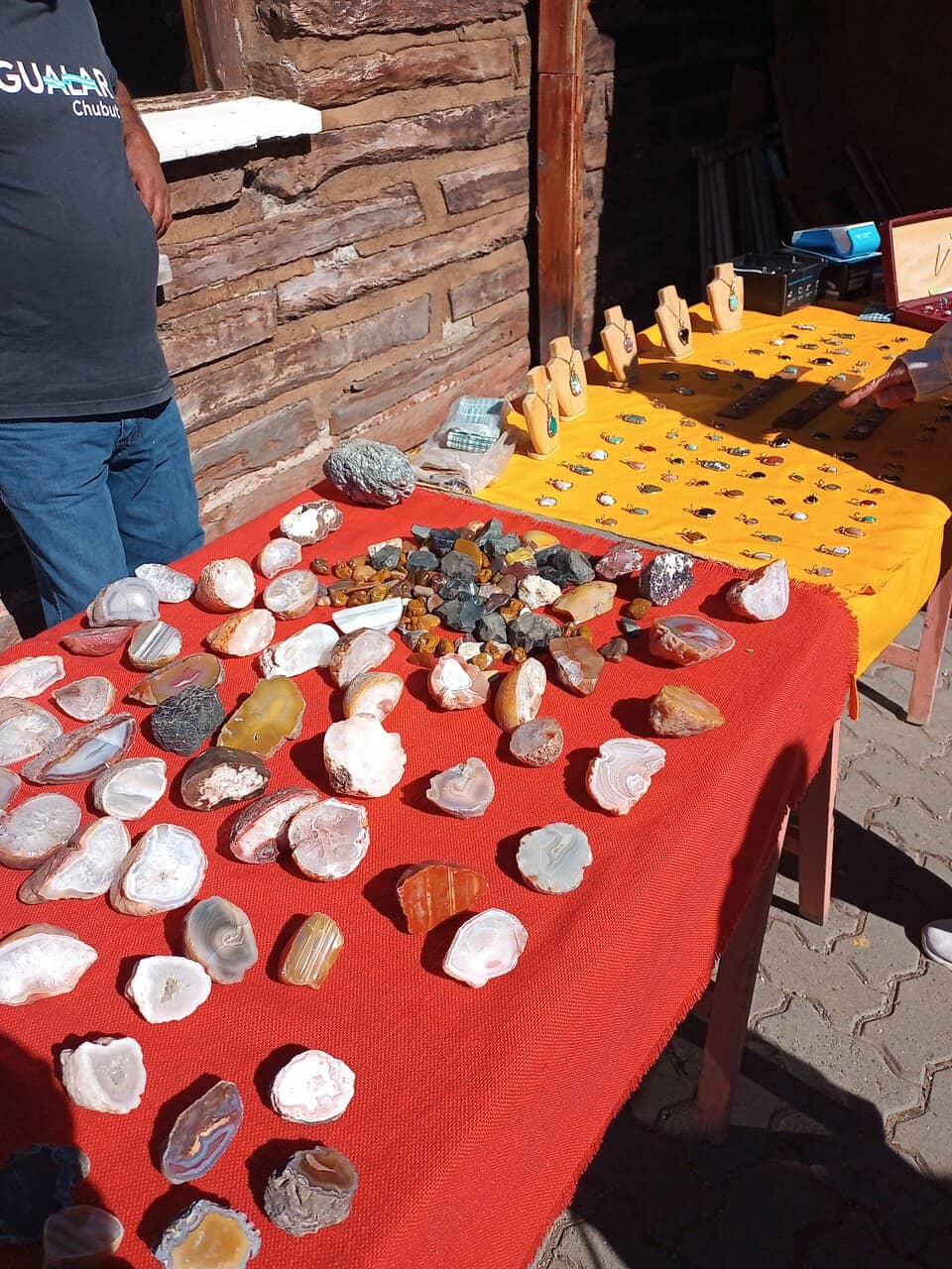 Mapuche Community of Nahuel Pan