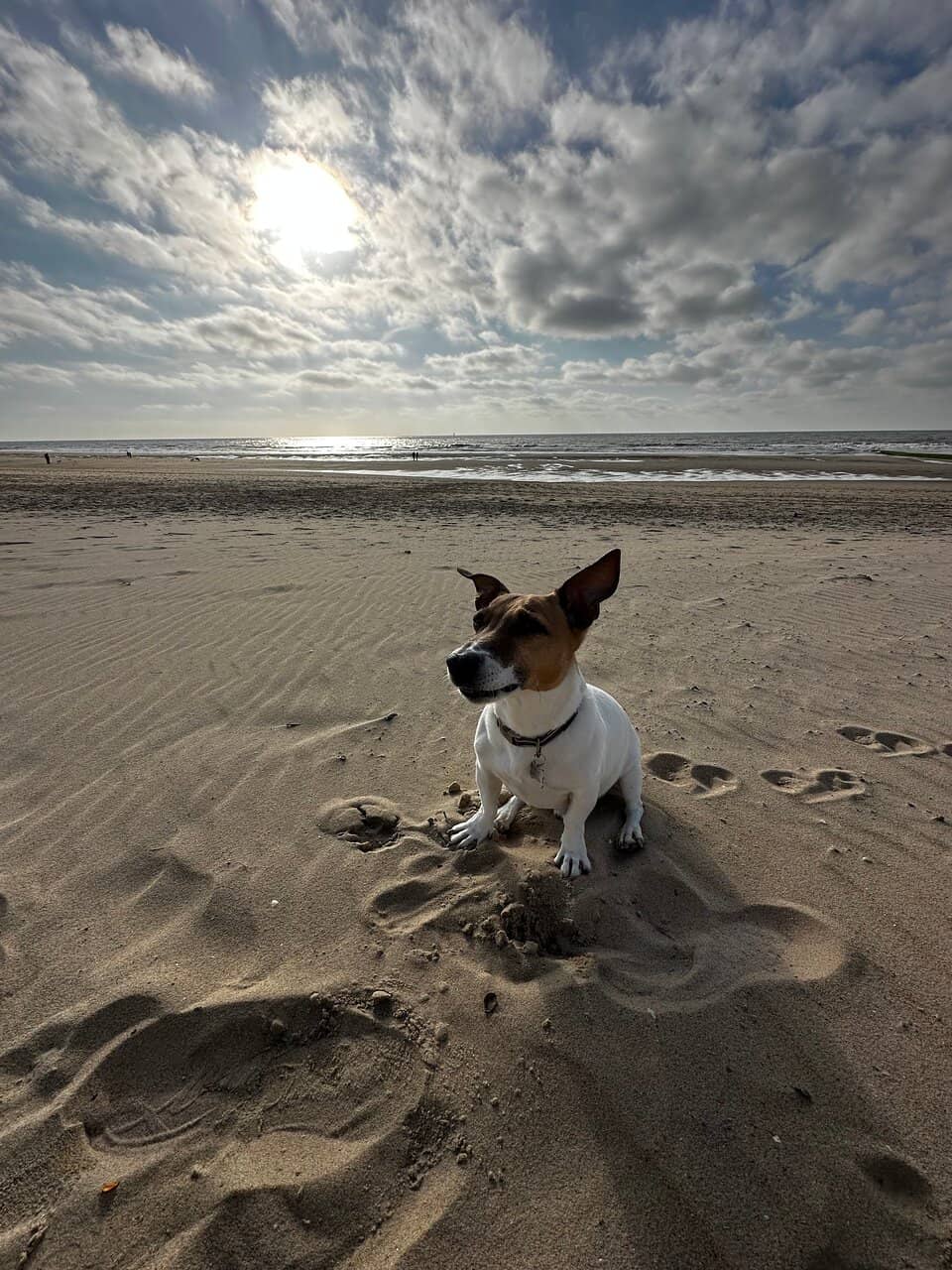Pirate Boat Playground