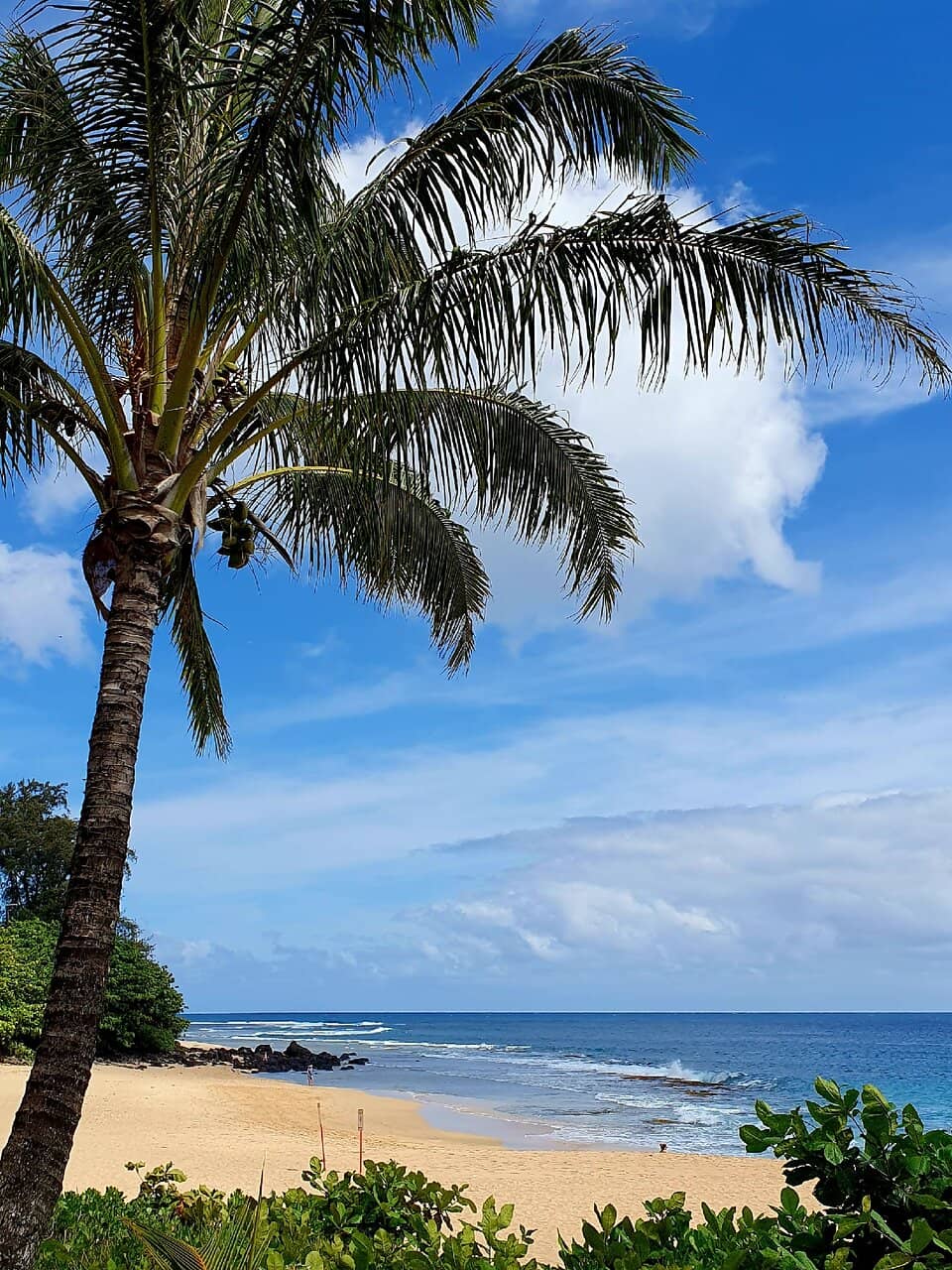 Vertical photo