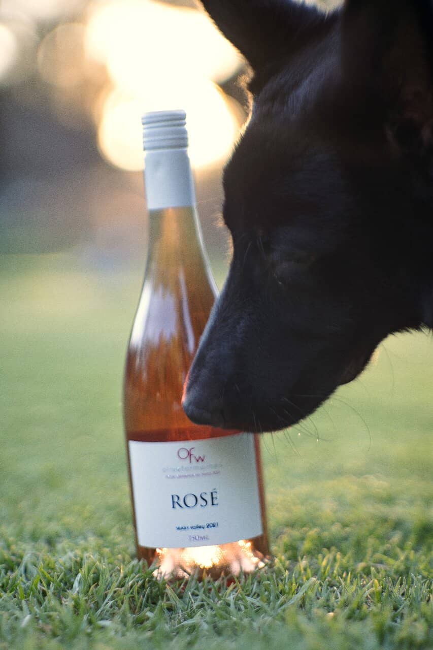 Extensive Wine Selection