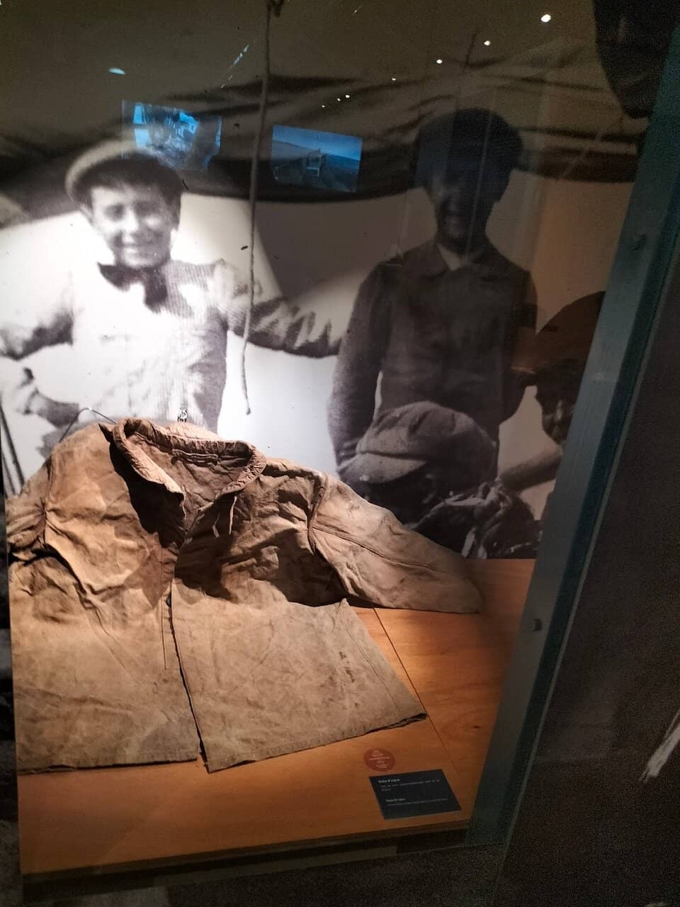 Local Fish Auction Viewing