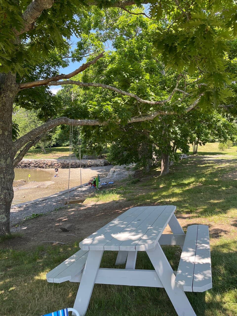 Renovated Playground