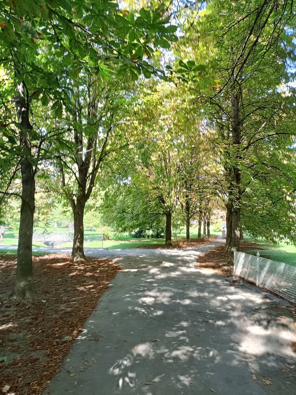 Tri Ribiniki (Three Lakes)