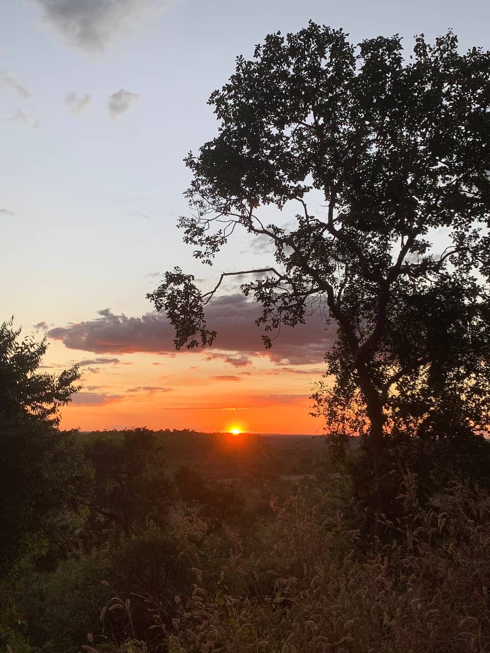 Serene Natural Ambiance