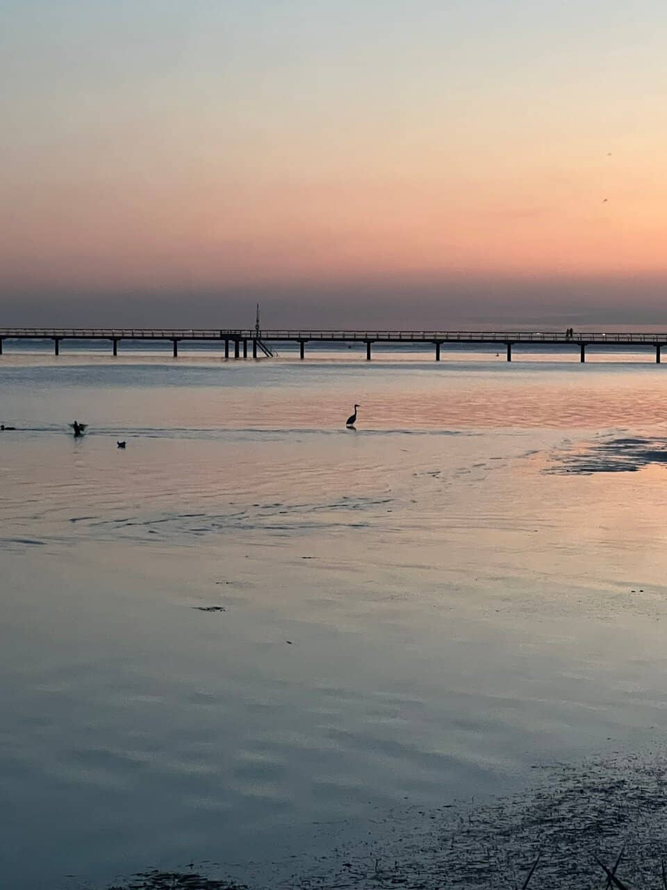 Bjärred's Saltwater Baths