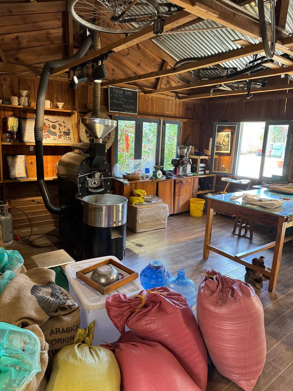 Freshly Roasted Coffee Tasting