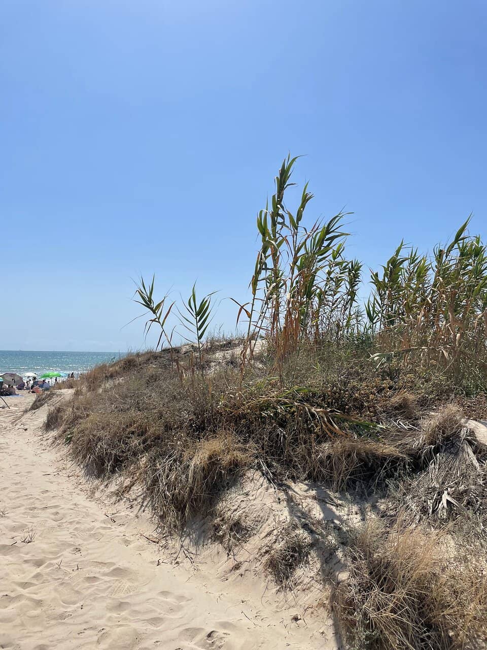 Picturesque Coastal Walks