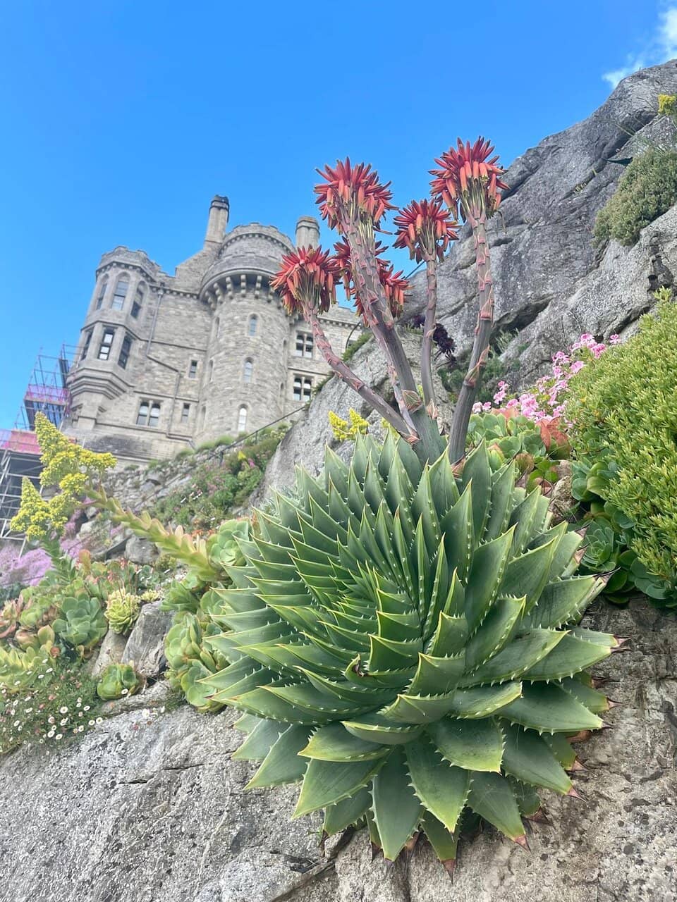 Stunning Coastal Views