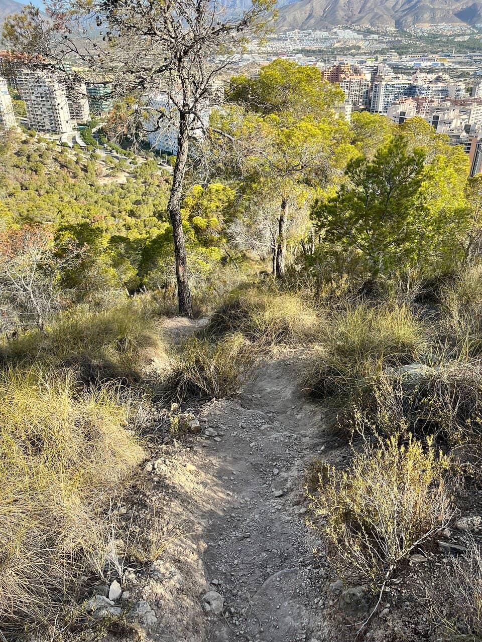 Sunset Photo Opportunities