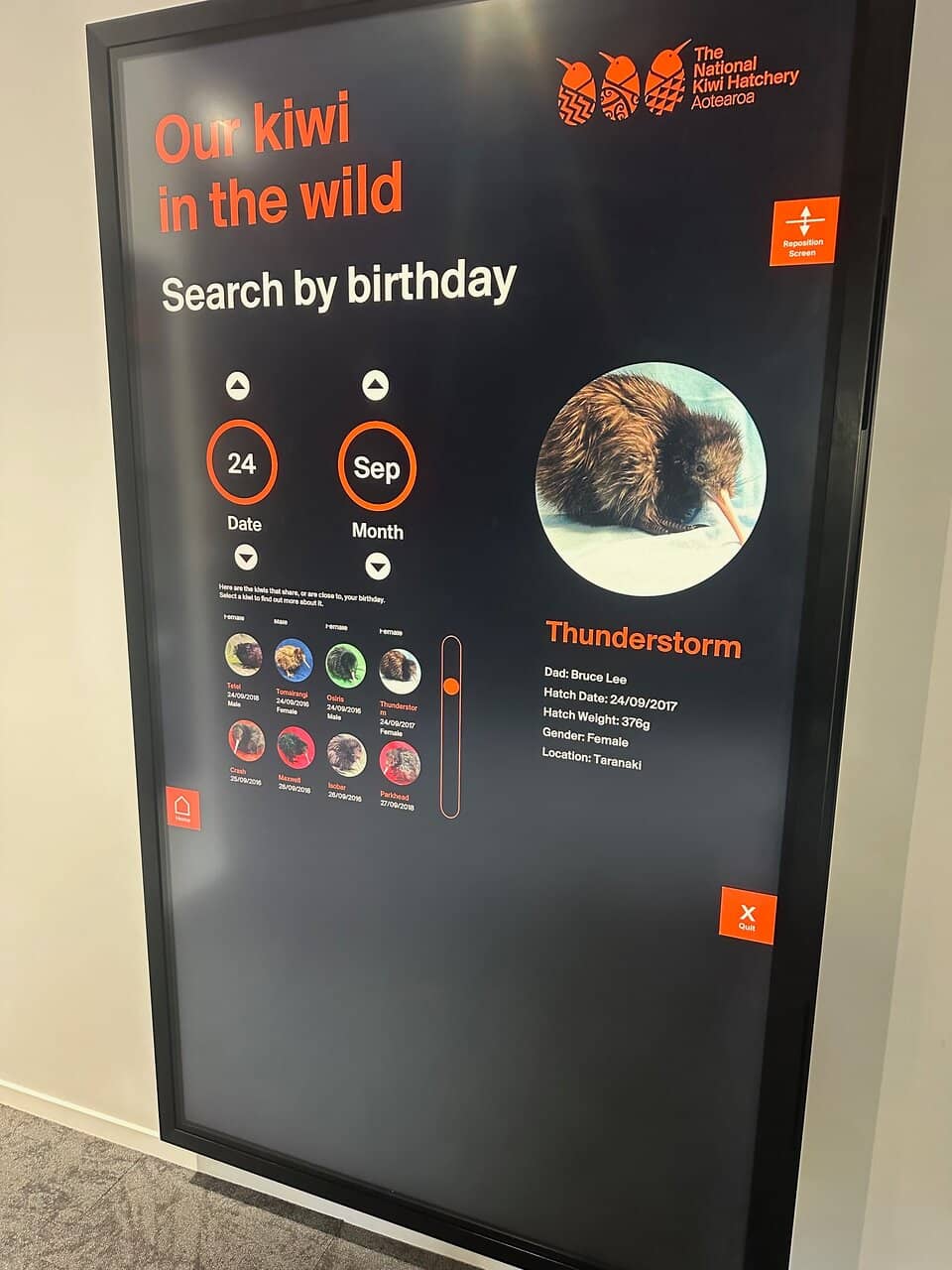 Incubator & Brooder Rooms