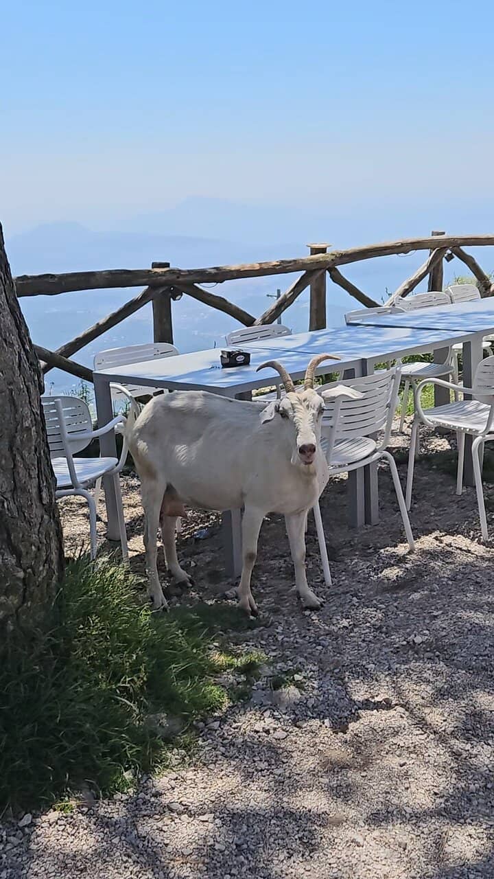 New Year's Eve Fireworks