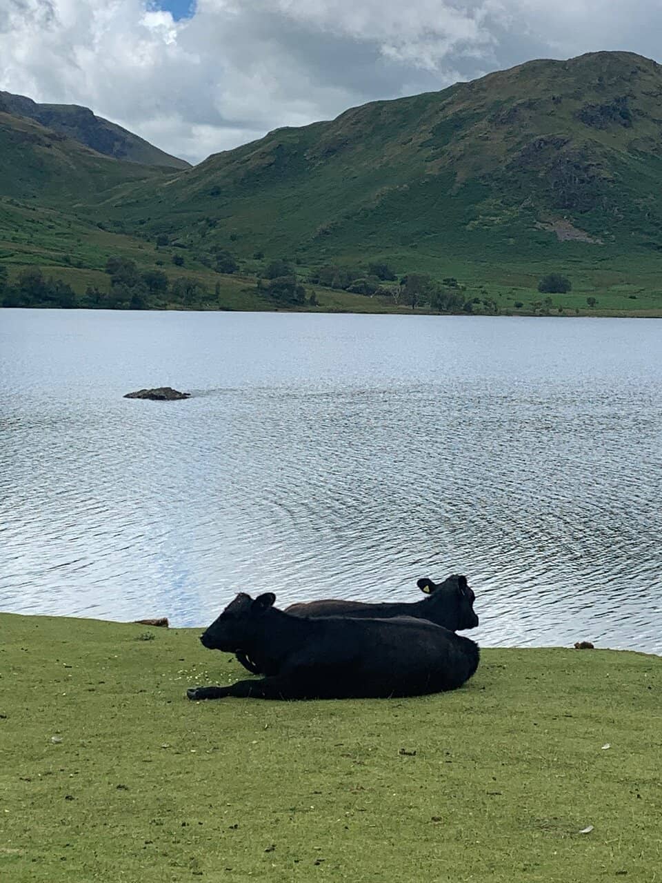 Mellbreak and Crummock Water Circular