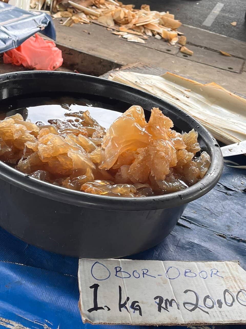 Evening Strolls & Photography