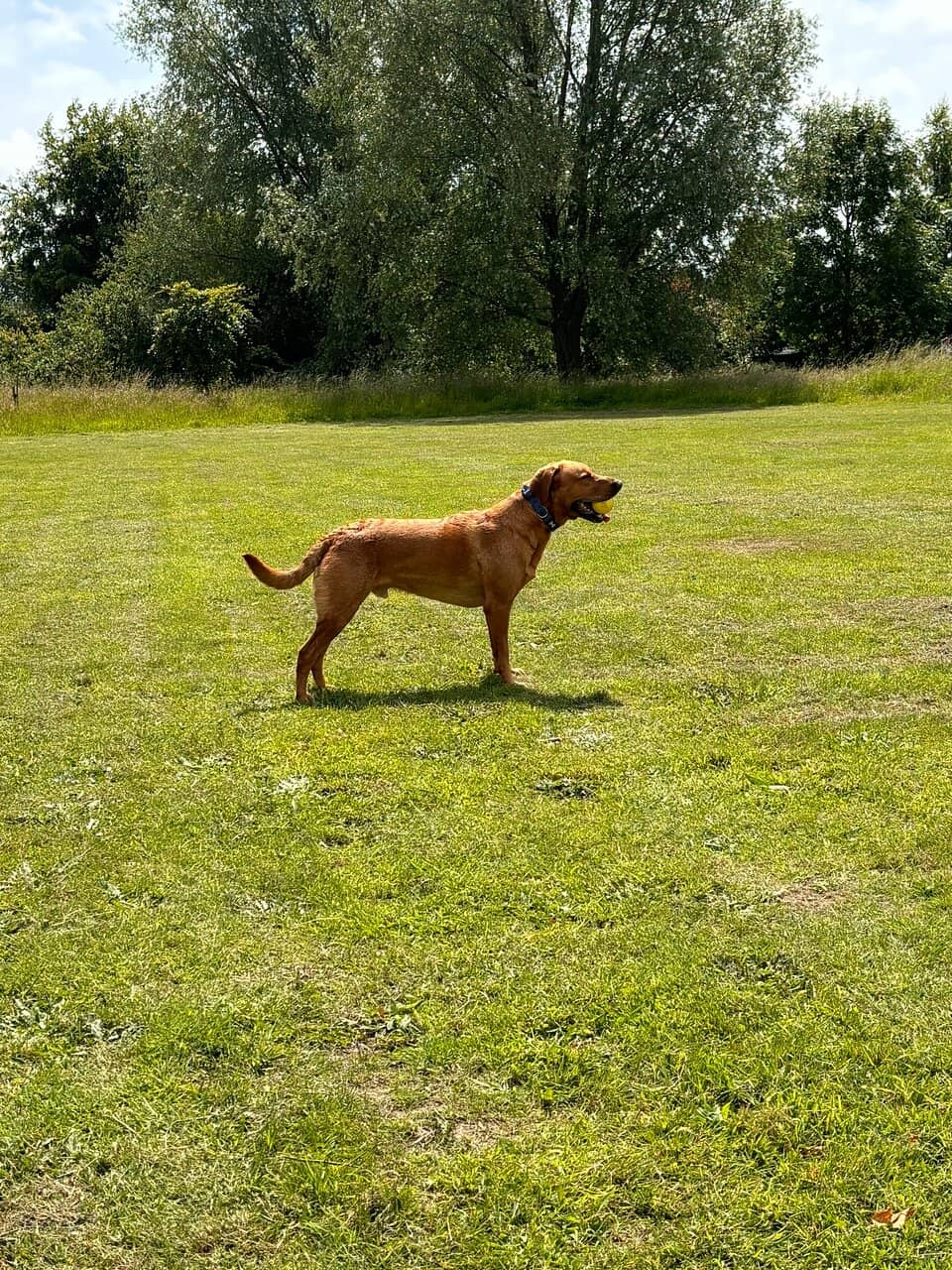 Children's Play Area