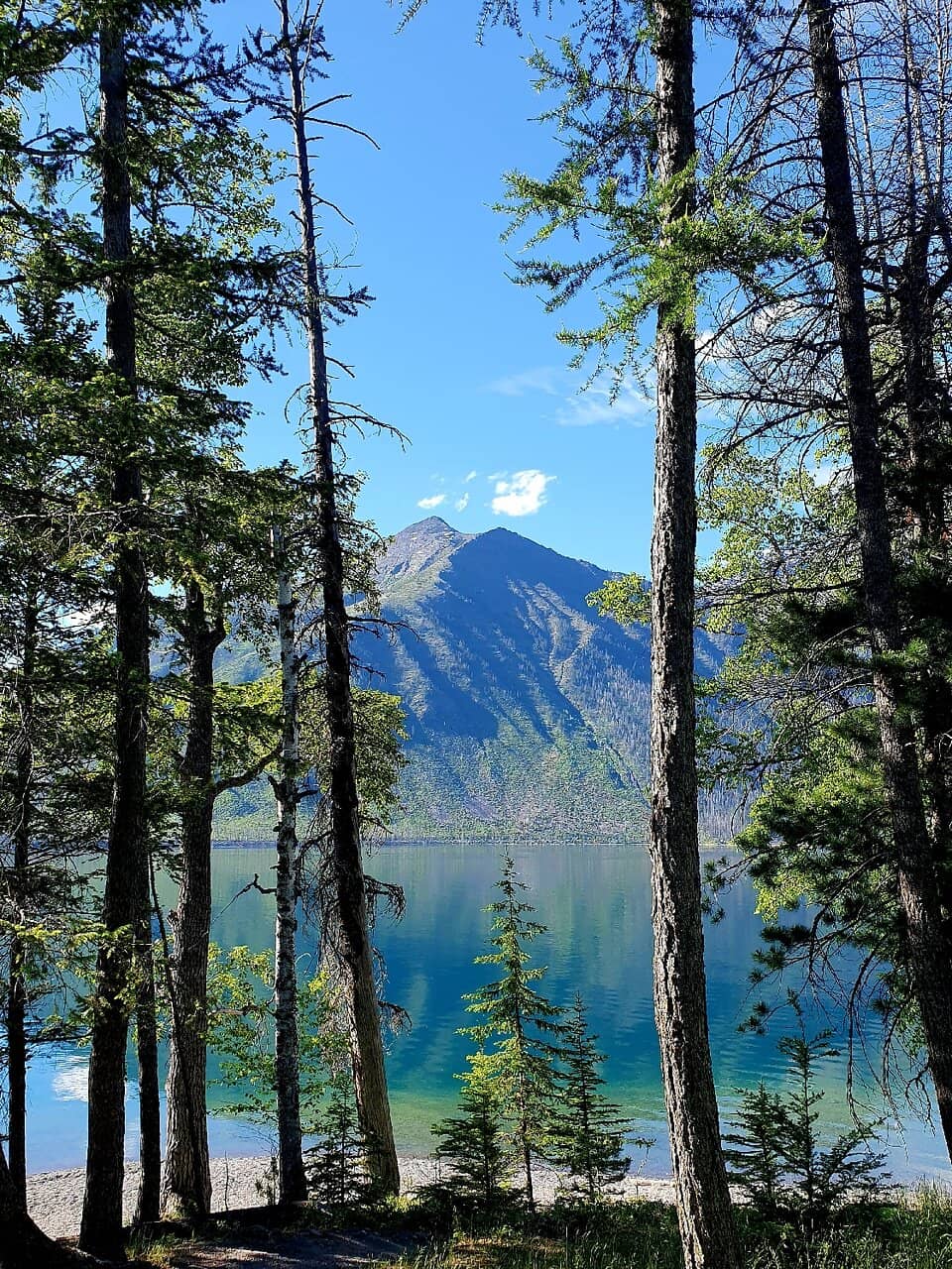 Vertical photo