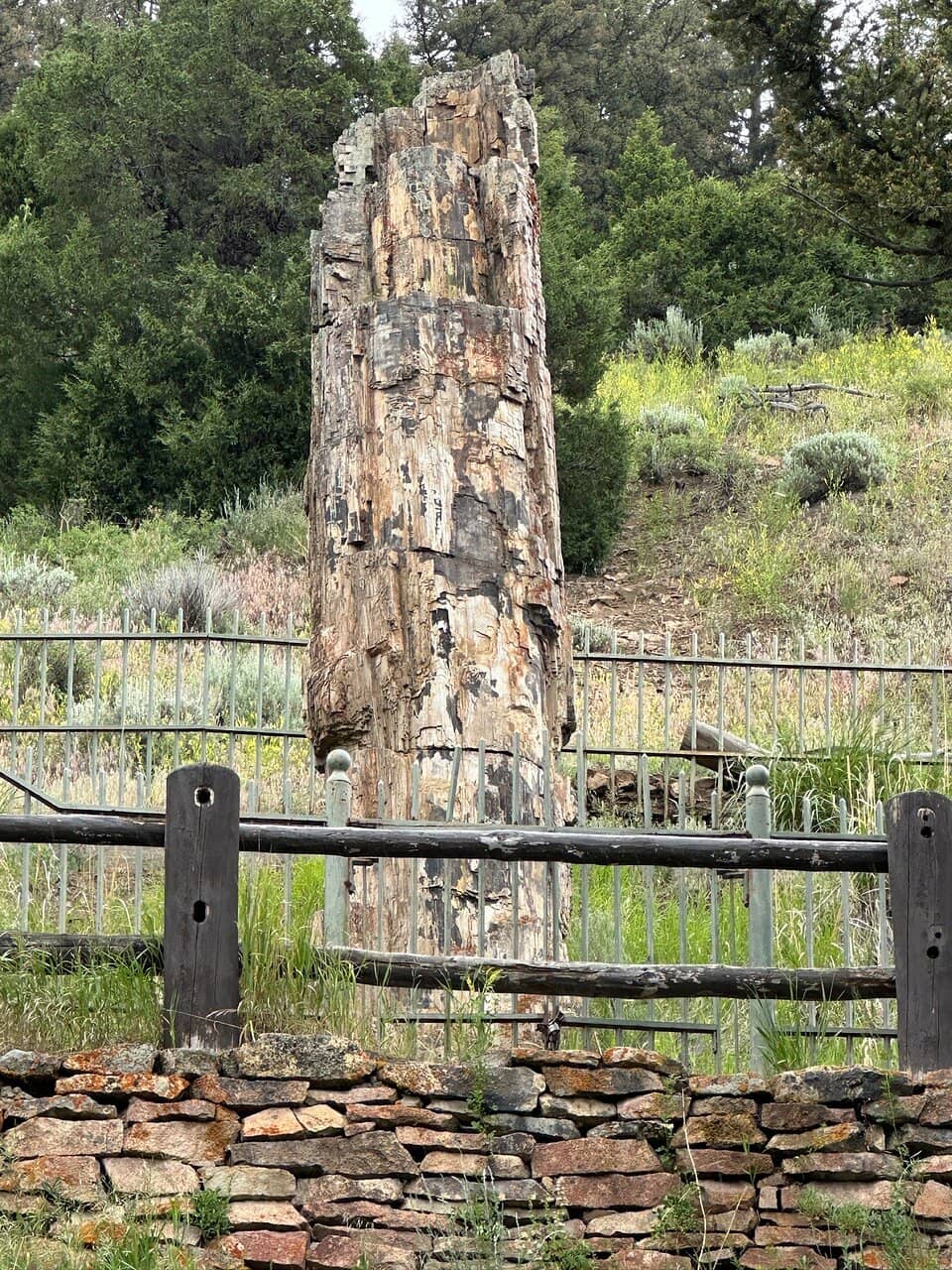 Vertical photo