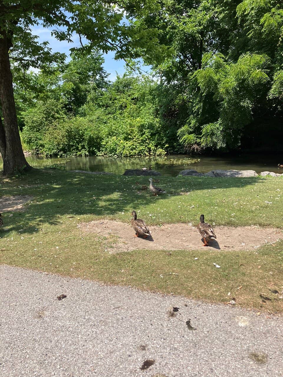 Letort Spring Run Nature Trail (2026) – Best of TikTok, Instagram & Reddit  Travel Guide