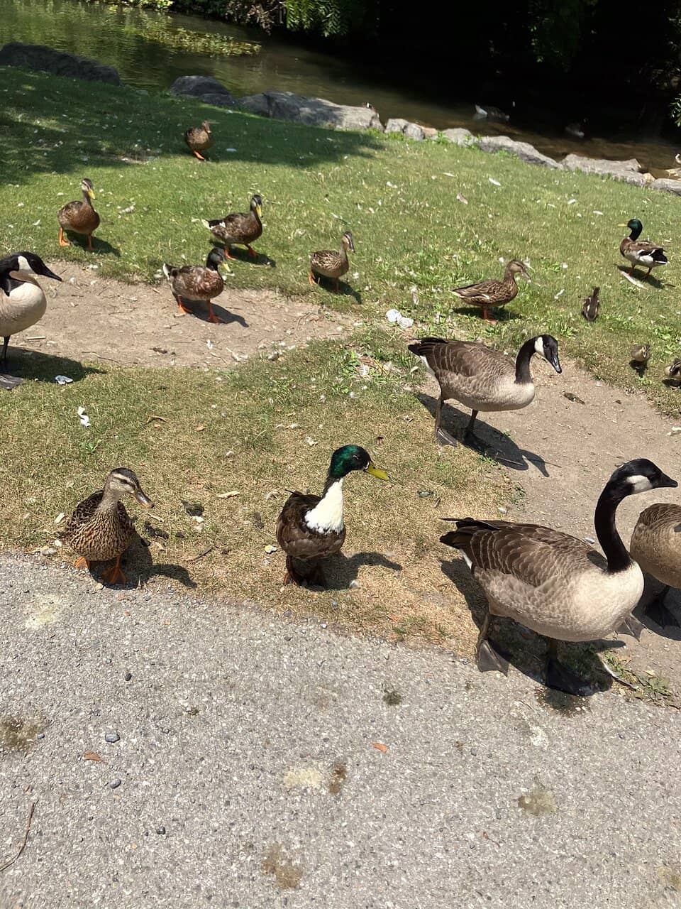 Letort Spring Run Nature Trail (2026) – Best of TikTok, Instagram & Reddit  Travel Guide