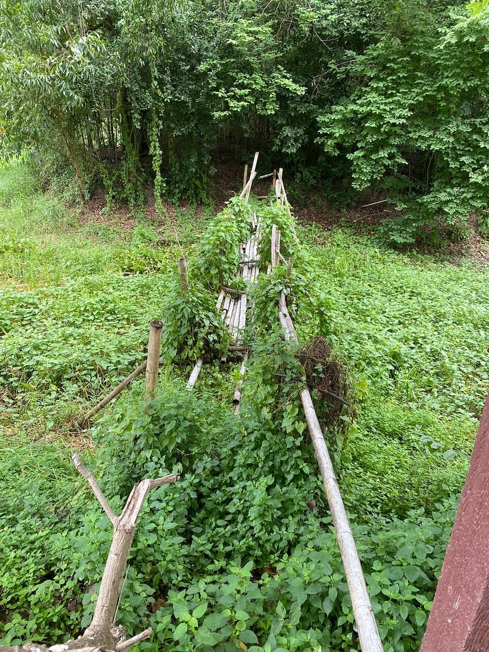 Bird Watching Paradise