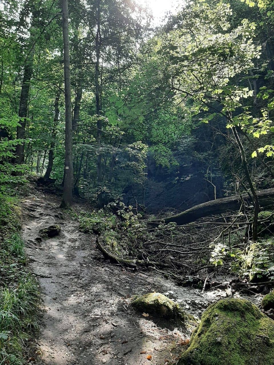 Kopiec Piłsudskiego