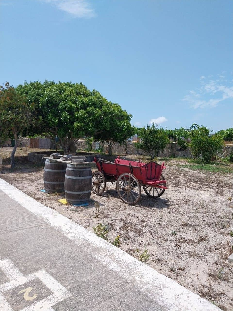 Homegrown Produce & Cooking