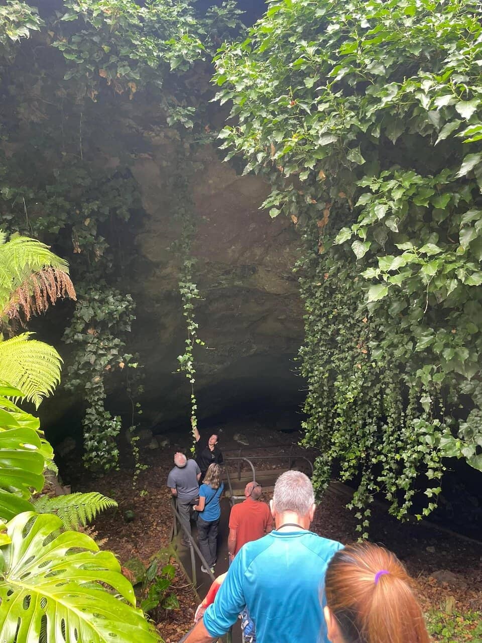 Expert-Led Cave Tours