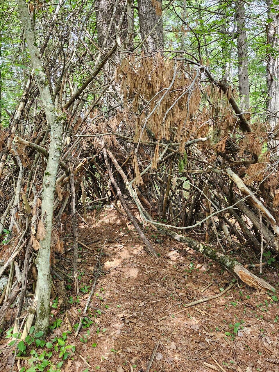 The Amble Trail Itself